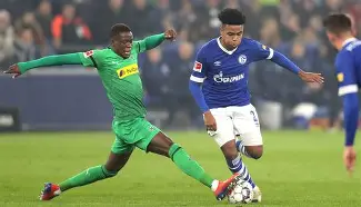 门兴格拉德巴赫训练开放日，集结日造点机会引欢呼，社区盾在即，赛程密集仍需轮换的简单介绍